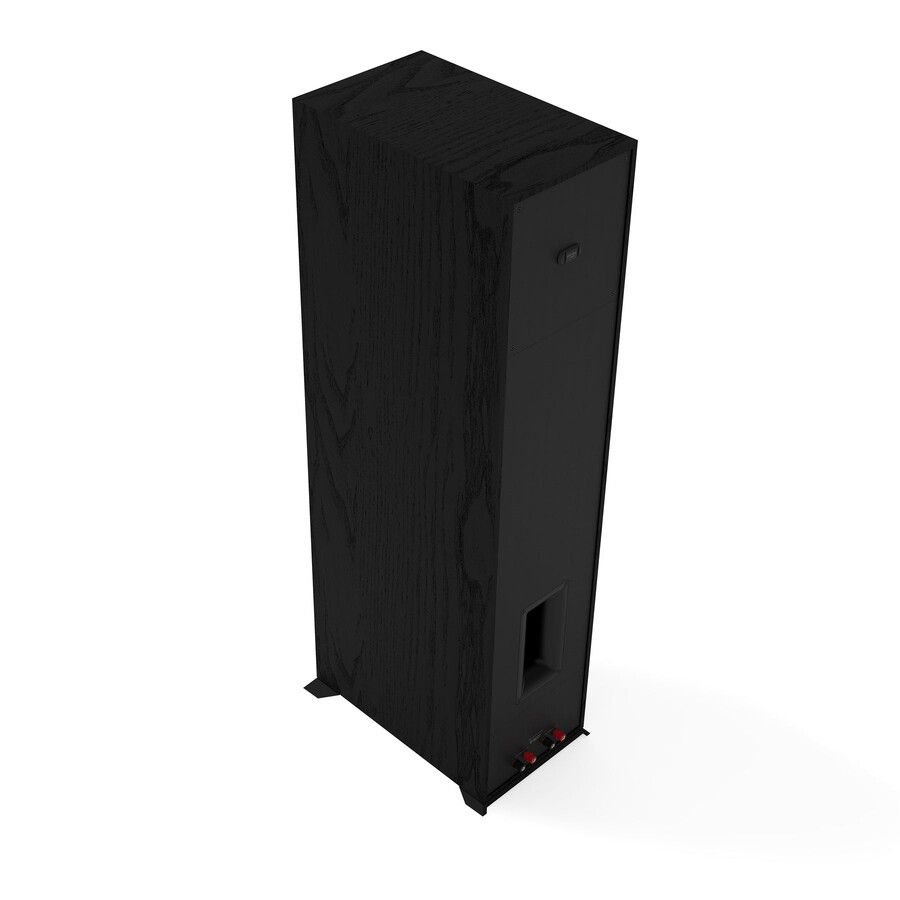 altavoz de suelo r-800f individual